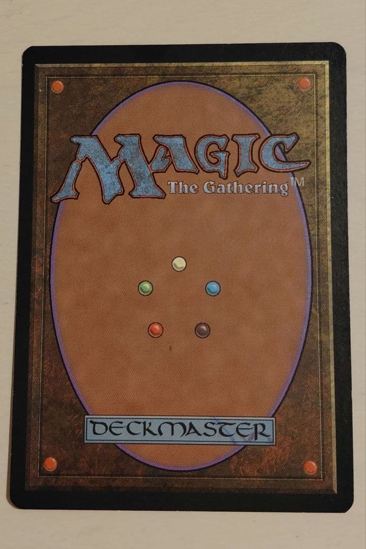 MTG Shallow Grave (浅すぎる墓穴) 英語版 1枚