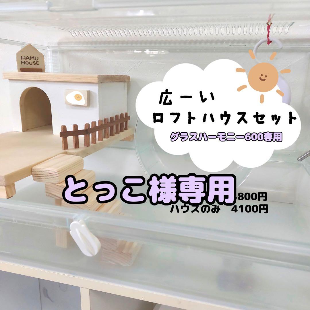 ロフトハウスセット　グラスハーモニー600　専用