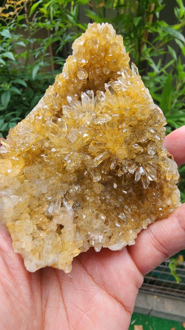 天然鉱石 結晶 透明感のある黄色フラワークォーツクラスター