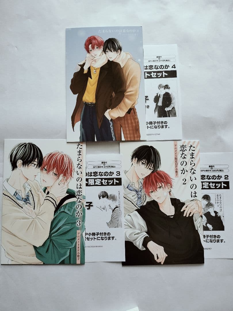 たまらないのは恋なのか ①②③④ アニメイト 小冊子付
