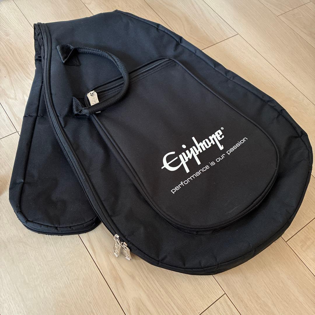 Epiphon Casino NA エピフォン カジノ ナチュラル