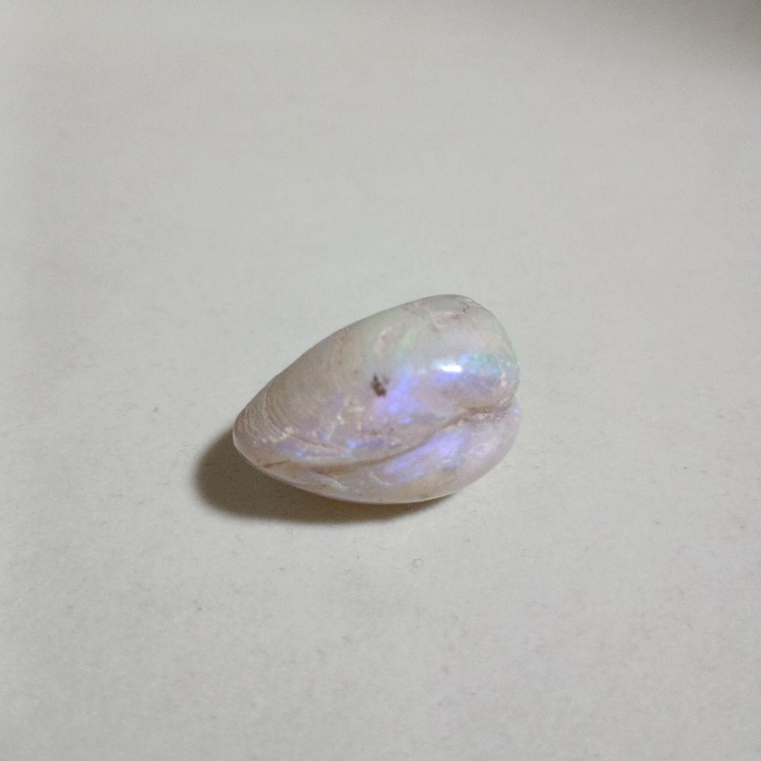 シェル オパール ルース 約3cm