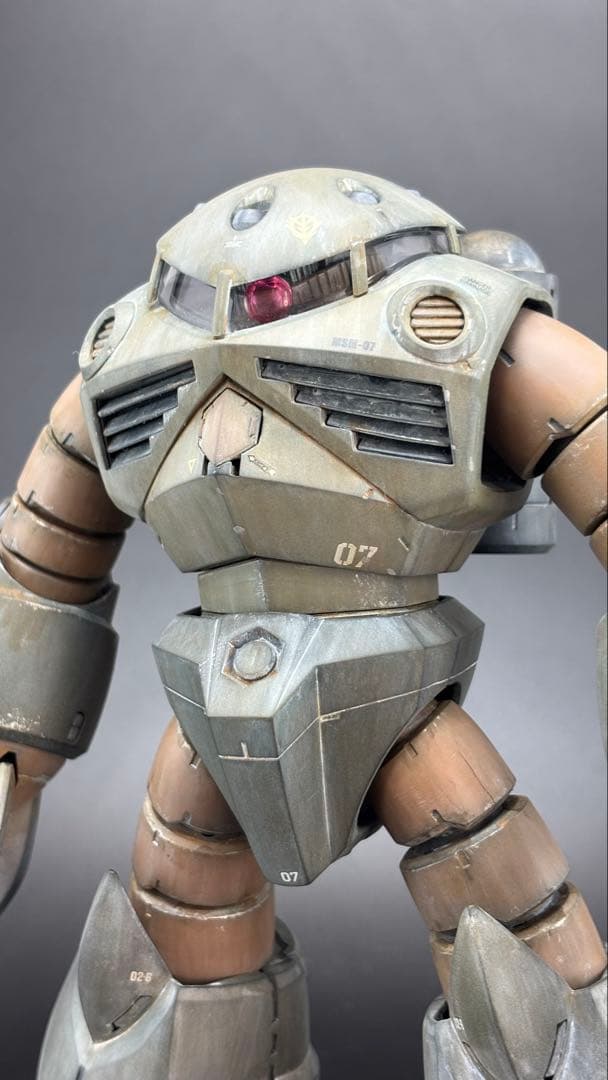 【塗装完成品】ＭＧ 1/100 ズゴック