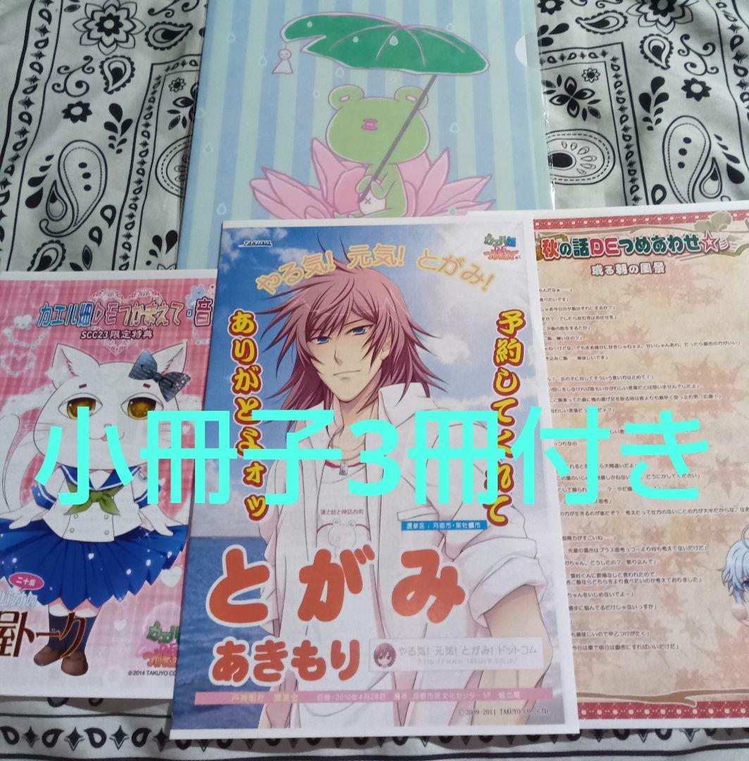 小冊子3種類付き　AGF限定　カエル畑deつかまえて　クリアファイル