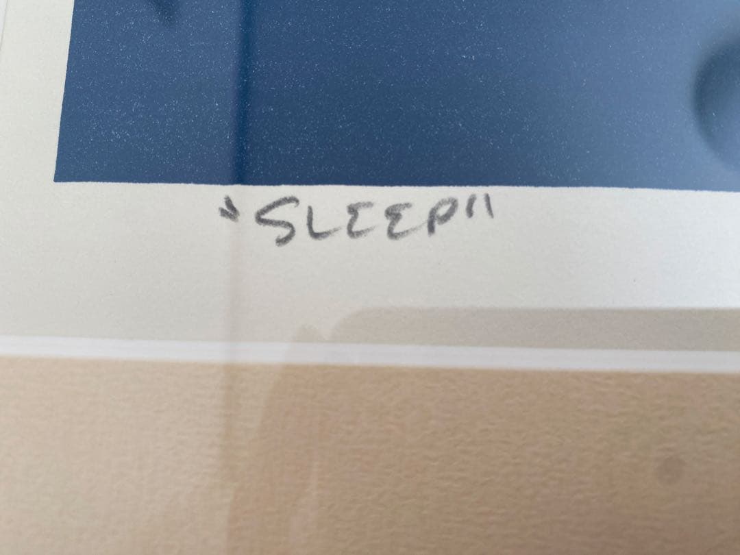 スティーヴン・ヒューネック ステファン・ヒューネック 版画 題 SLEEP