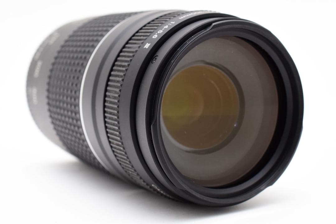 キヤノン Canon EF 75-300mm F4-5.6 III