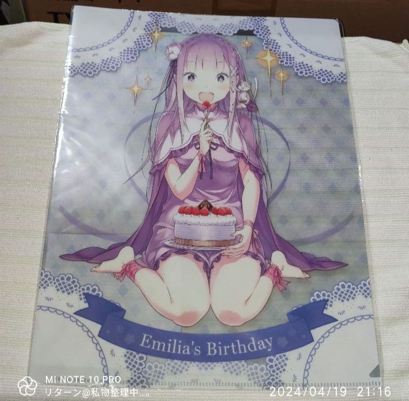 エミリア Emilia s Birthday クリアファイル 大塚真一郎