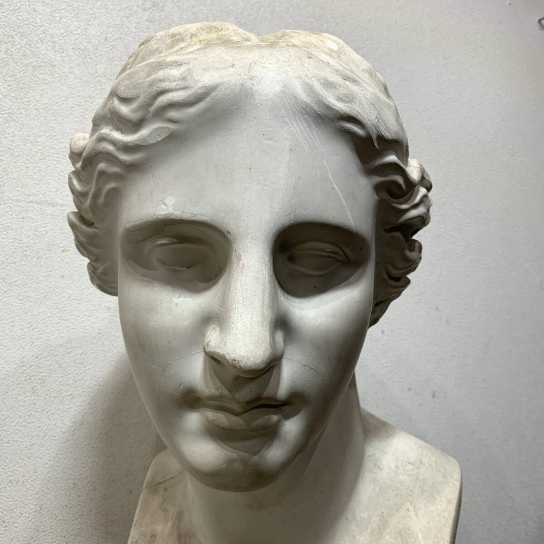 ミロのヴィーナス　石膏像　胸像　デッサン　美術　オブジェ　XZ4116