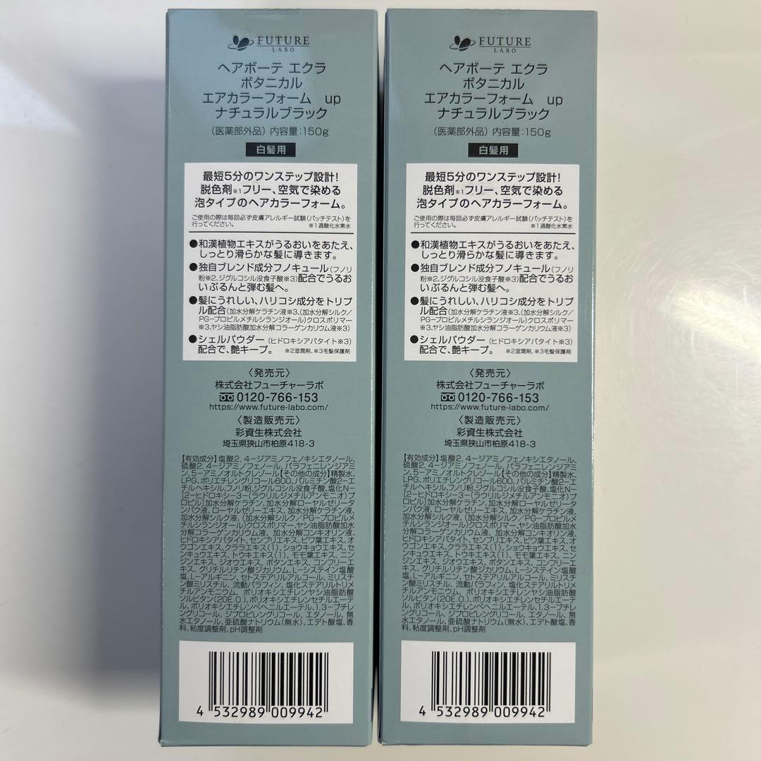 ヘアボーテ エクラ ボタニカルエアカラーフォーム up ナチュラルブラック 2本