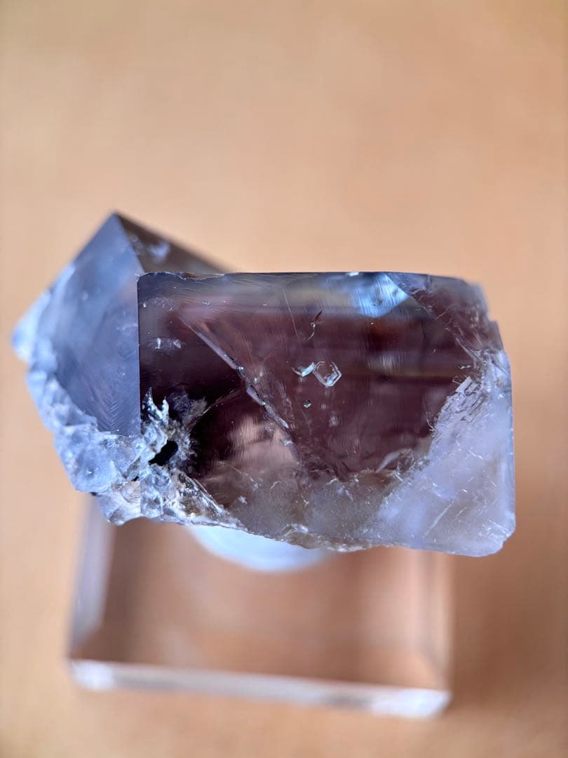 その他 sherry twins pocket