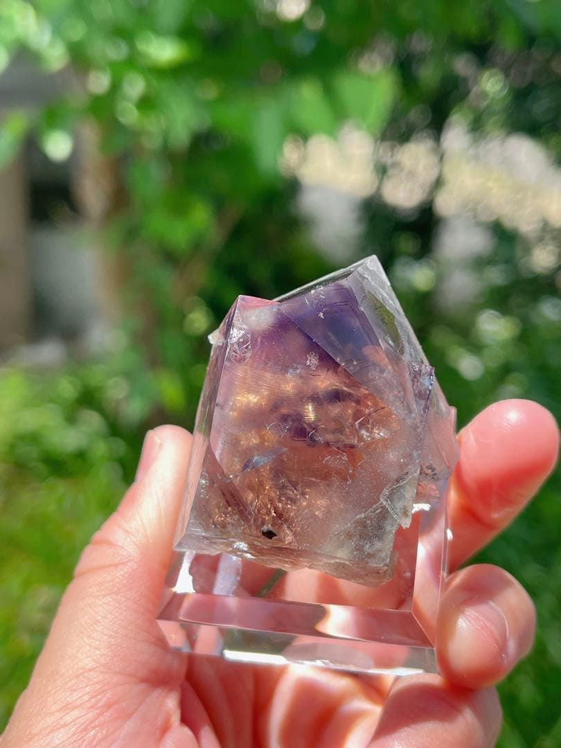 その他 sherry twins pocket