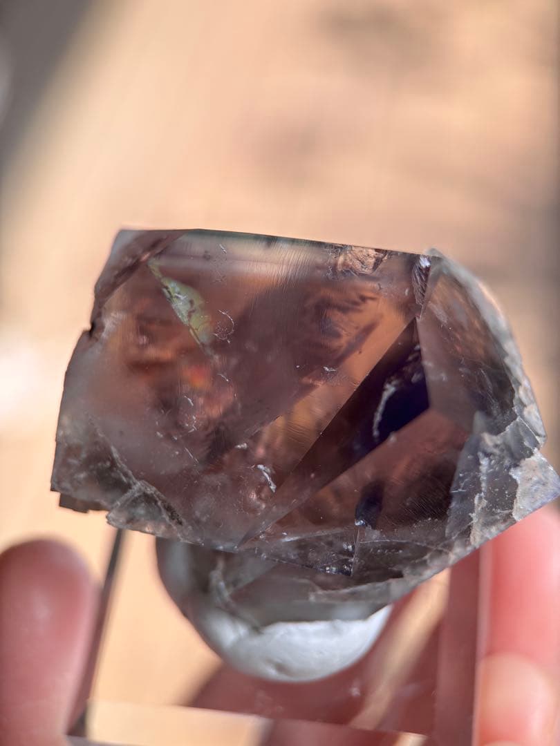 その他 sherry twins pocket