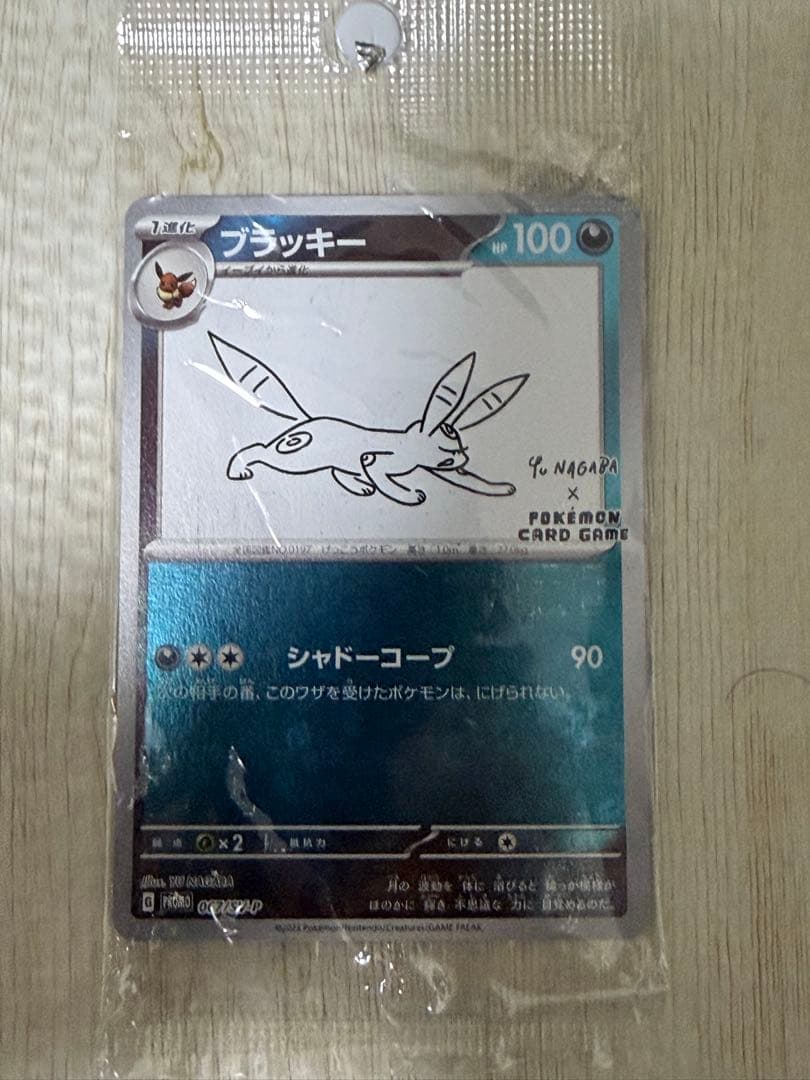 yu nagaba ブイズ、ピカチュウセット【おまけ付き】