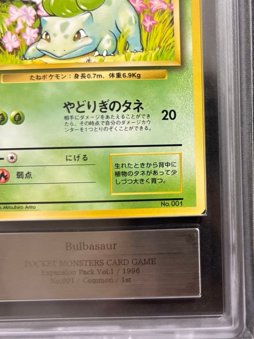 【ARS9】フシギダネ 初版 旧裏面 PSA BGS 鑑定品