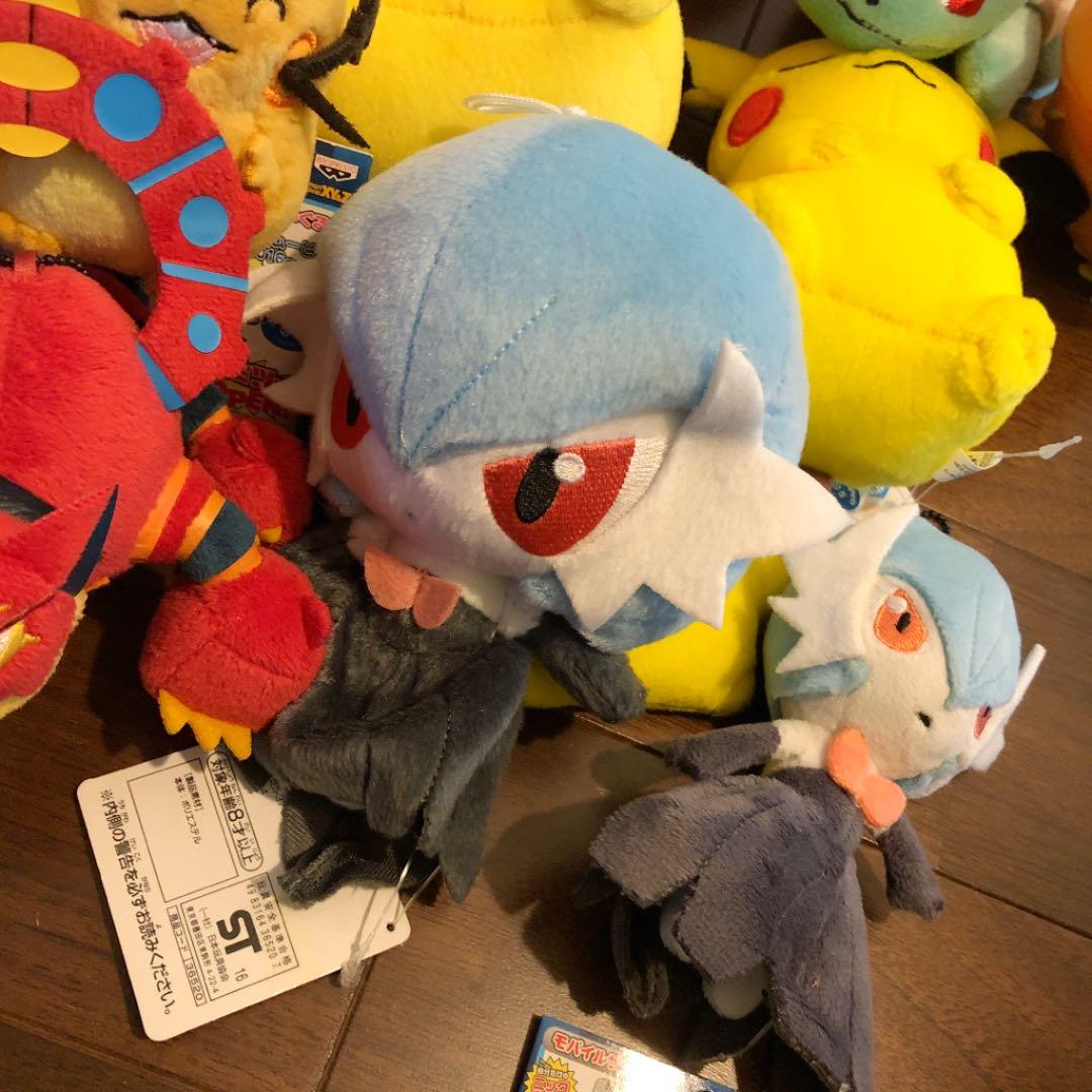 みーこ様確認用 ポケモン ぬいぐるみ