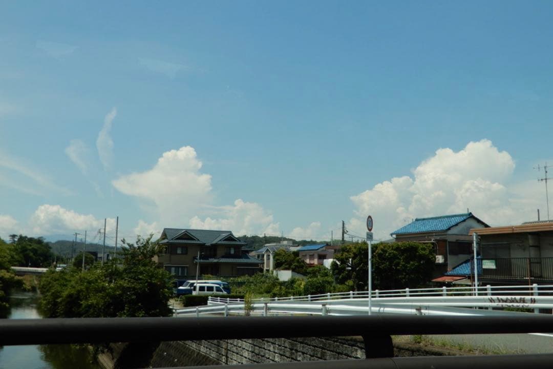 Nikon COOLPIX A900 コンデジ【作例有】