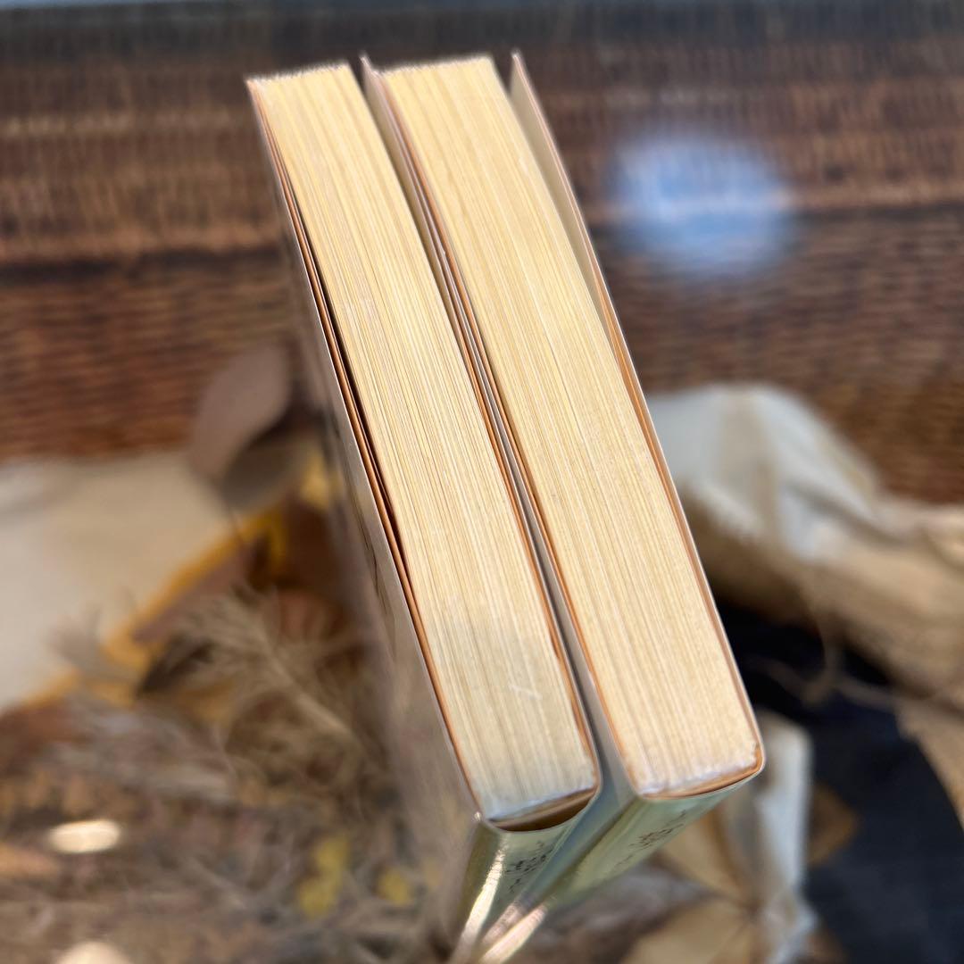 【レーニン　新品❗️】　哲学ノート　岩波文庫