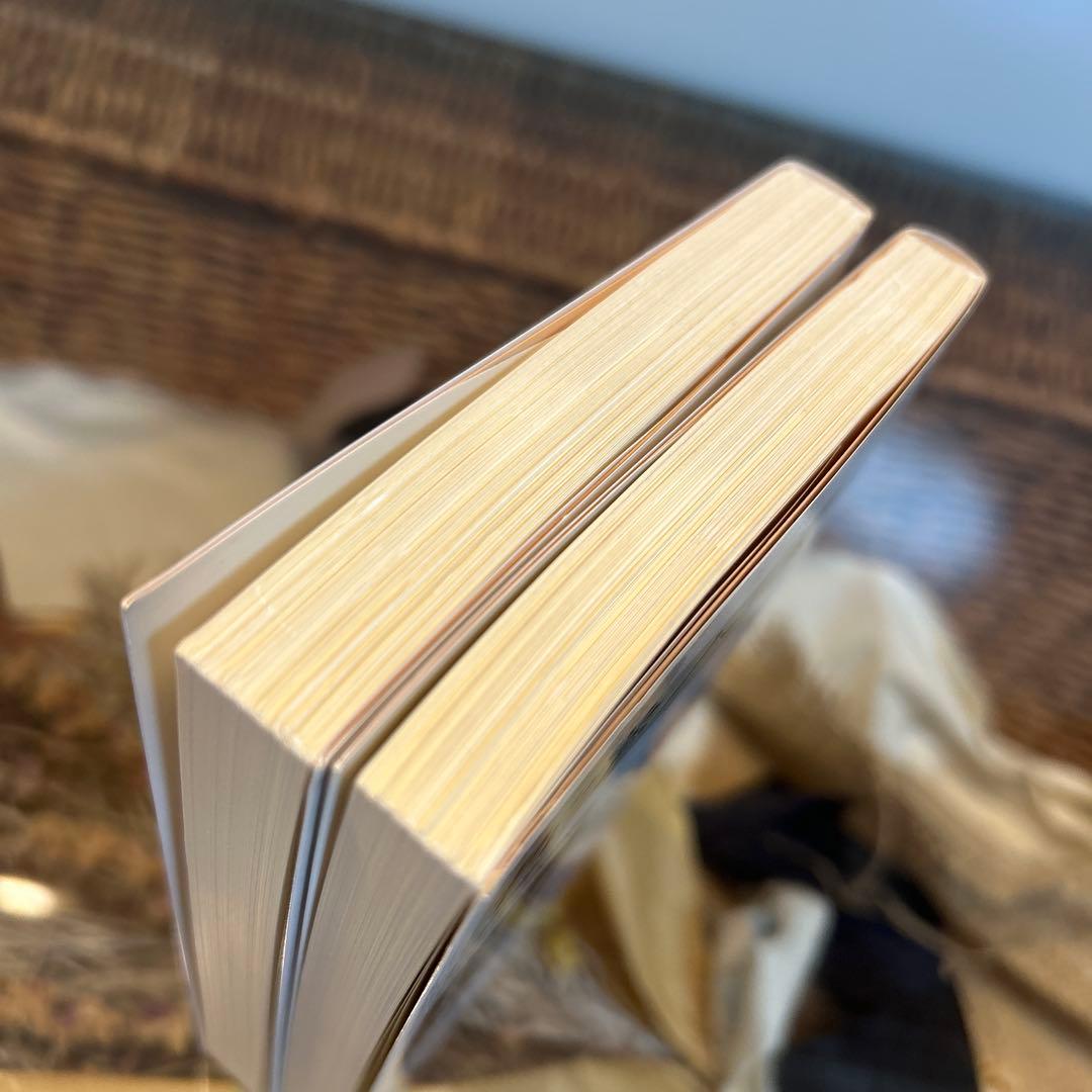 【レーニン　新品❗️】　哲学ノート　岩波文庫