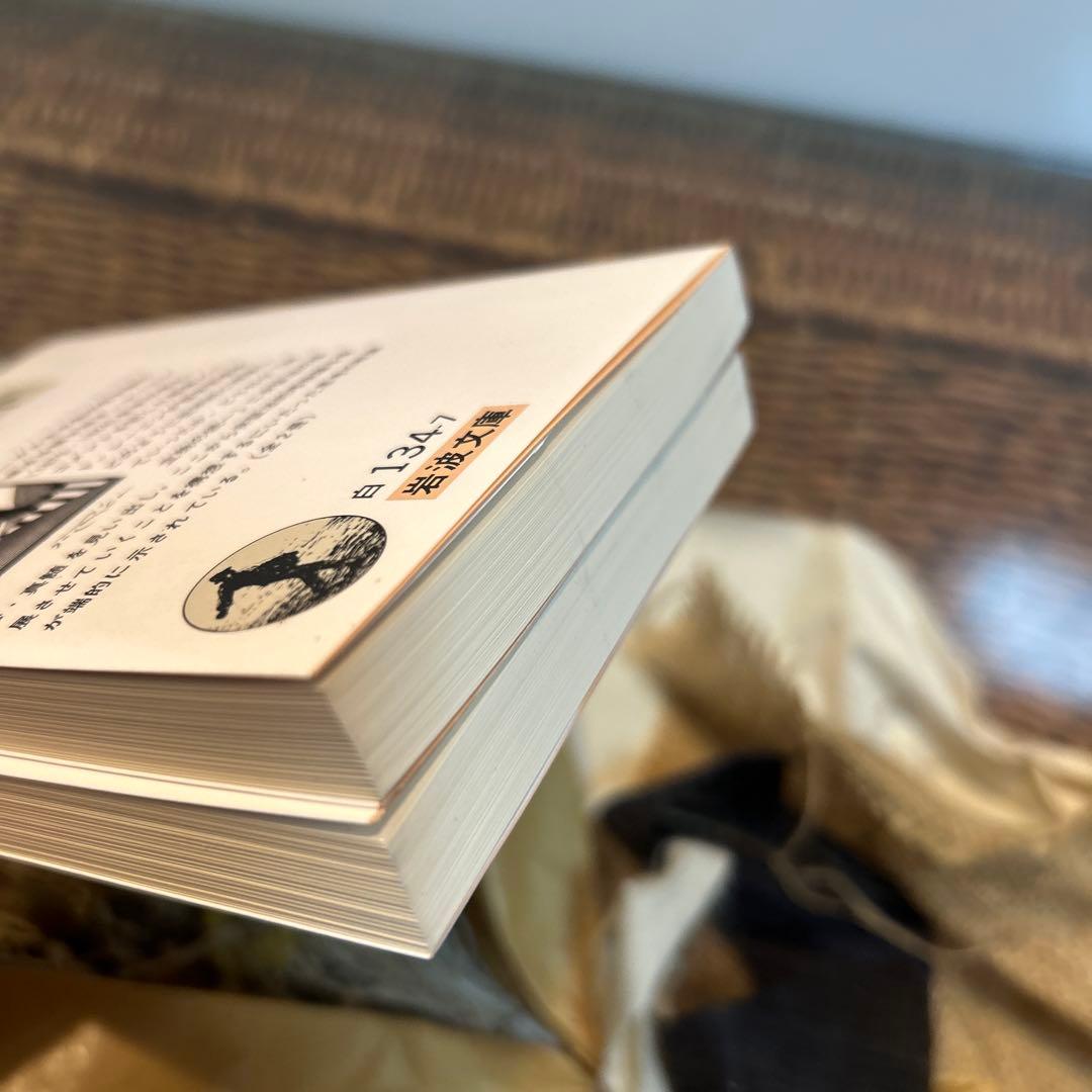 【レーニン　新品❗️】　哲学ノート　岩波文庫