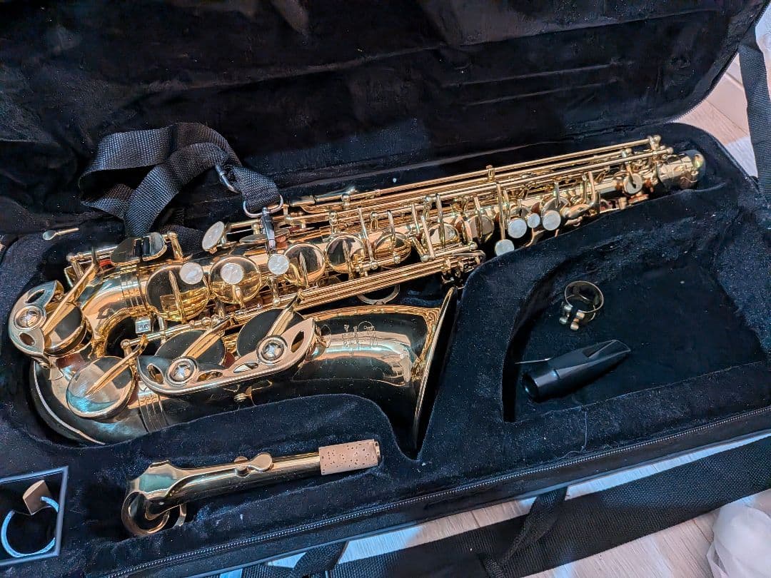 DSA E100 アルトサックス 美品 Designed in USA ケース付