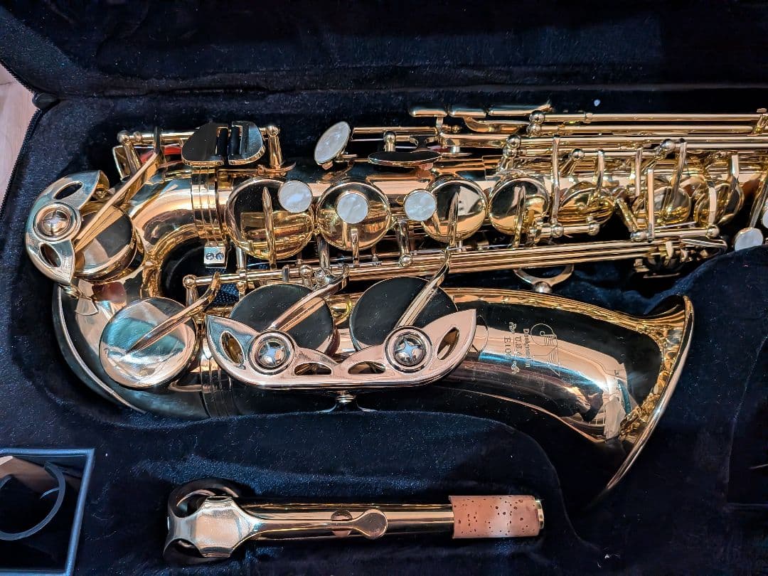 DSA E100 アルトサックス 美品 Designed in USA ケース付