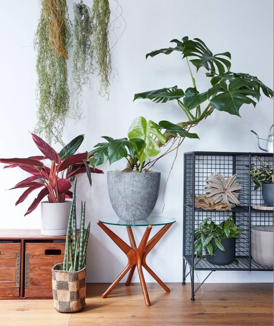 ACME Furniture⭐️トラッセルサイドテーブル⭐️ガラス×木