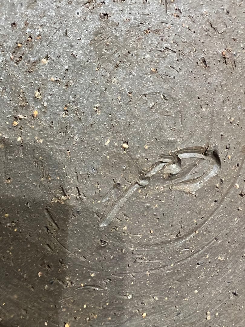 人間国宝　山本陶秀　鉢　識箱