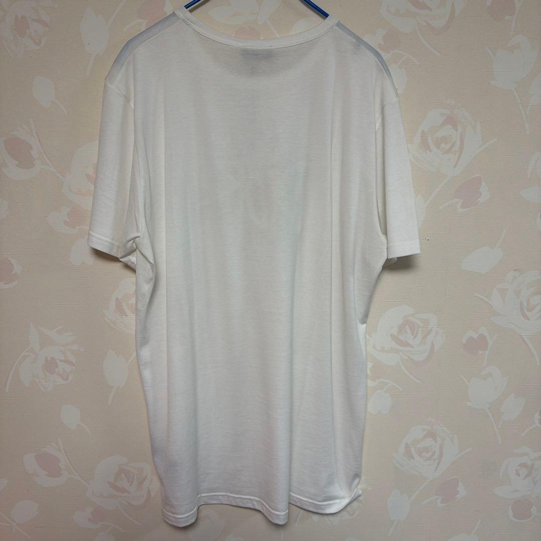 Dior×stussy 半袖Tシャツ【メンズMサイズ】