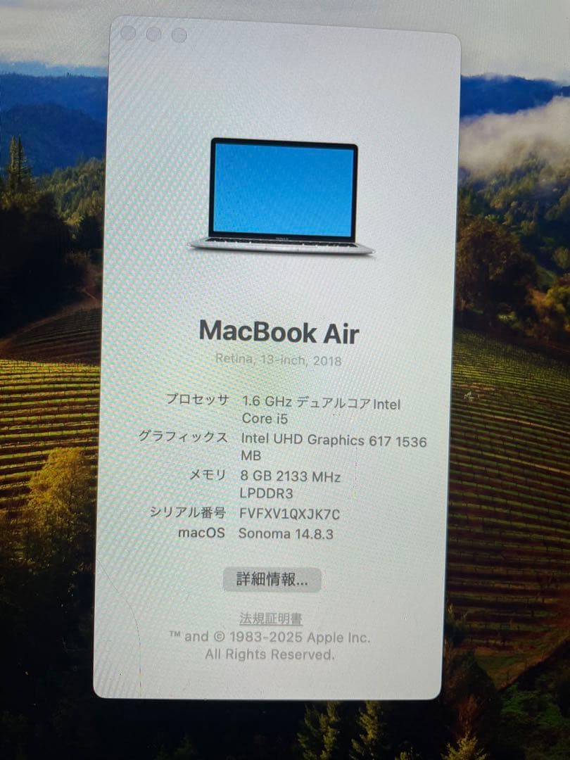 【変換ポート付】MacBookAir 2018(8GB/128G/13インチ)