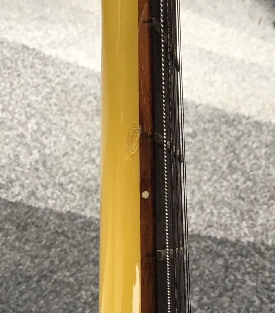 Cool Z レスポールジュニア　TVモデル