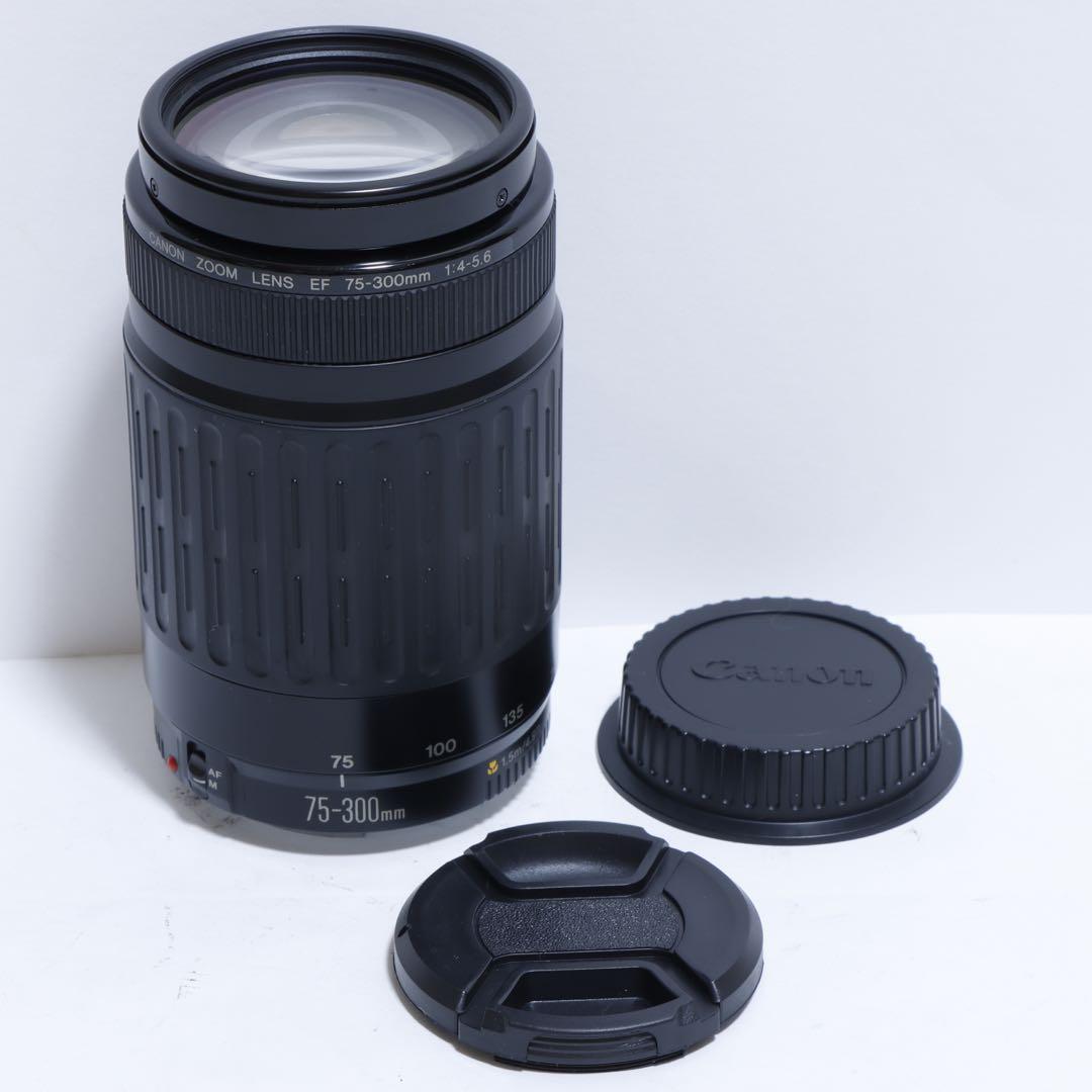 ◇大迫力超望遠!!◇Canon純正 300mm 望遠レンズ!!◇