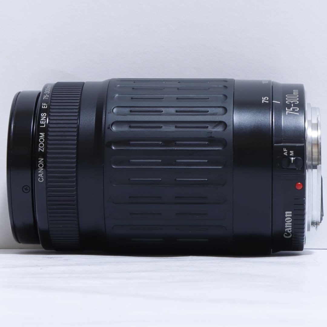 ◇大迫力超望遠!!◇Canon純正 300mm 望遠レンズ!!◇