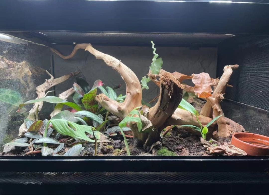 爬虫類両生類飼育ケージ組み立て式 ガラス飼育ケージ90x45x45cm引取り限定