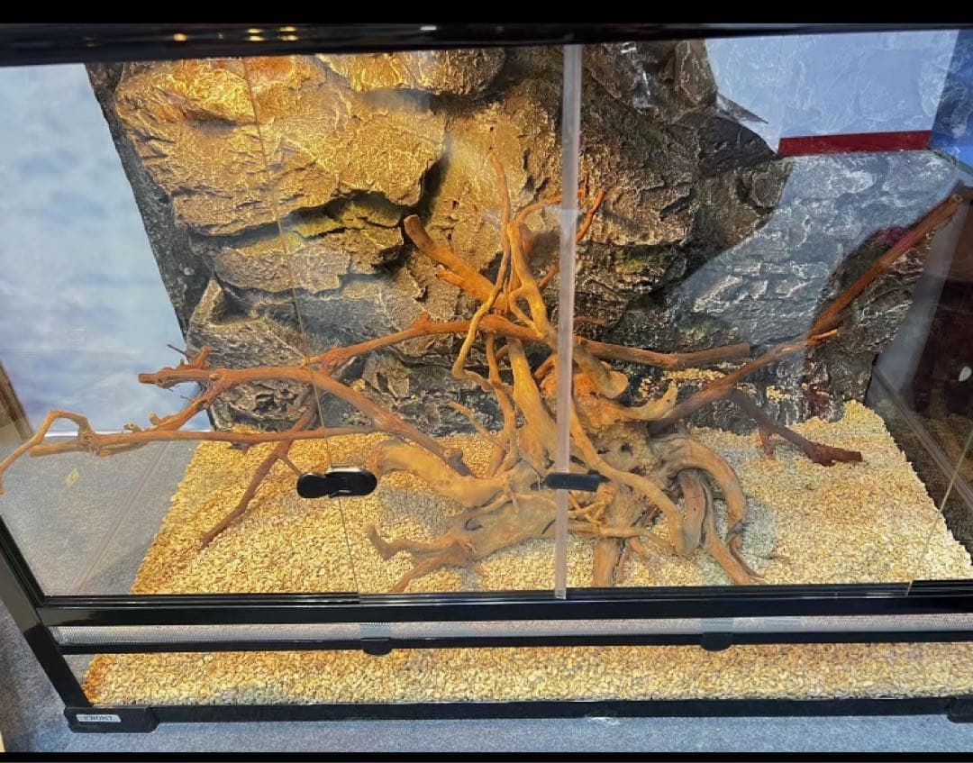 爬虫類両生類飼育ケージ組み立て式 ガラス飼育ケージ90x45x45cm引取り限定