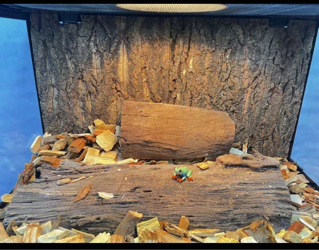 爬虫類両生類飼育ケージ組み立て式 ガラス飼育ケージ90x45x45cm引取り限定