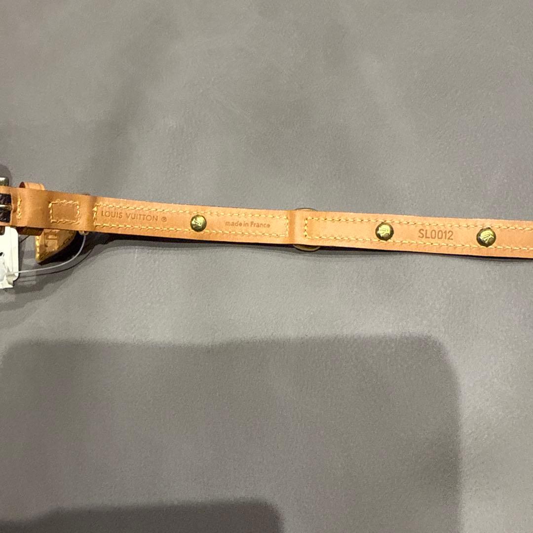 p*o様 Louis Vuitton Collier Baxter PM 首輪
