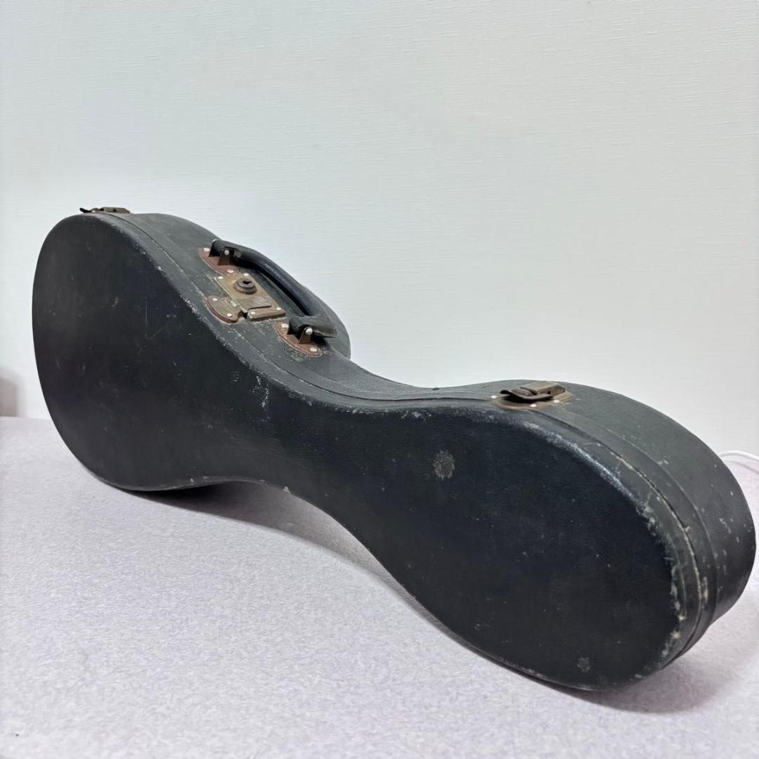 ☆マンドリン カターニア CATANIA イタリア ハードケース