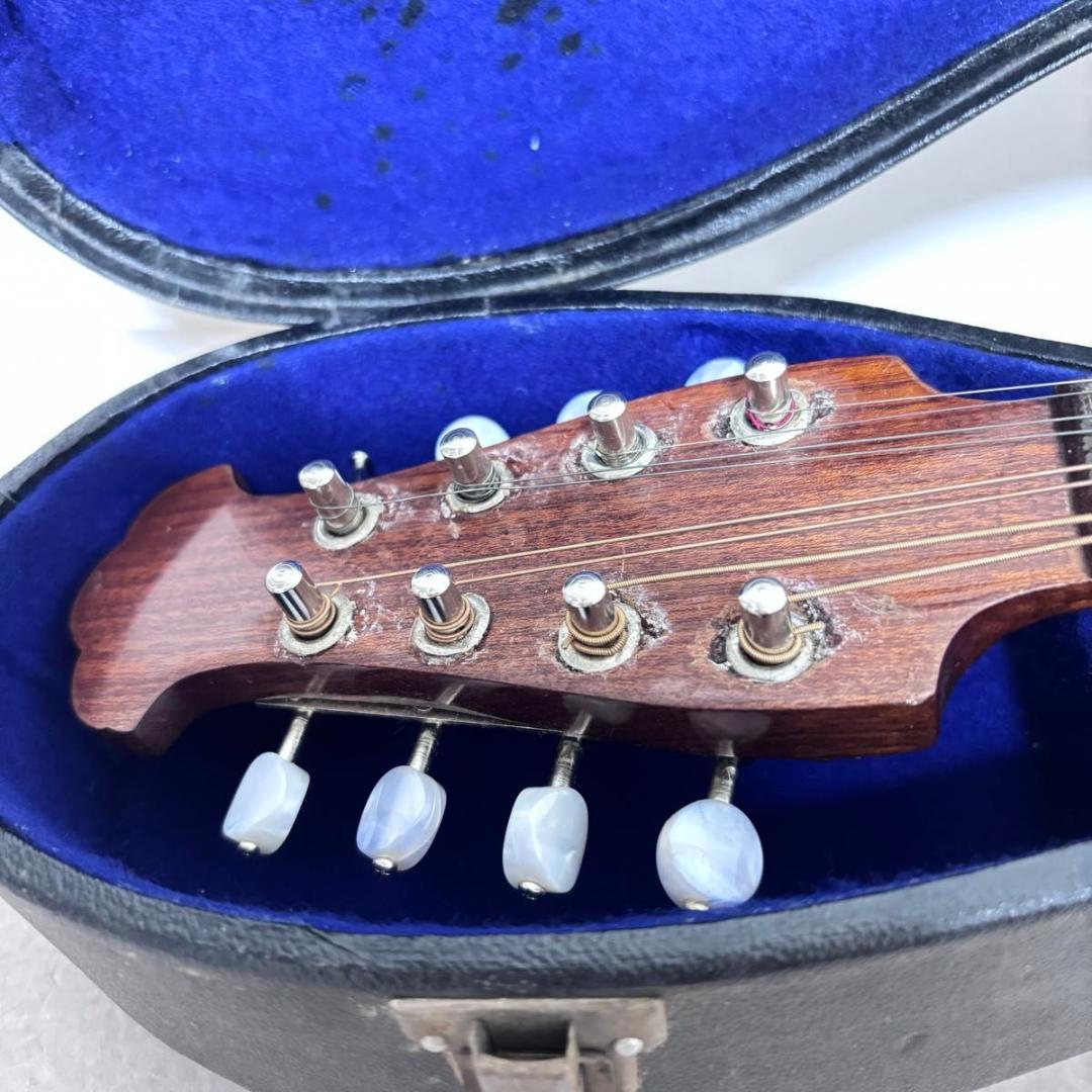 ☆マンドリン カターニア CATANIA イタリア ハードケース