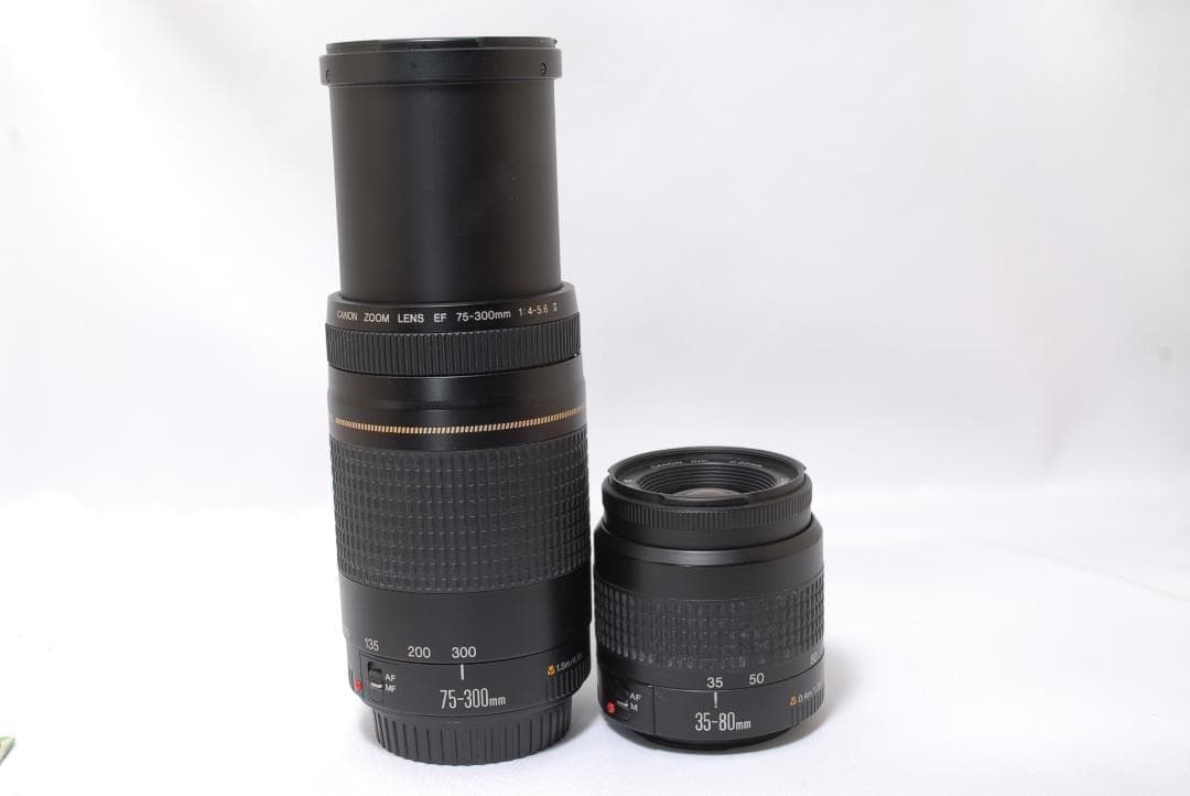 ⭐️すぐに始めれる⭐️Canon kiss x2 ダブルレンズセット