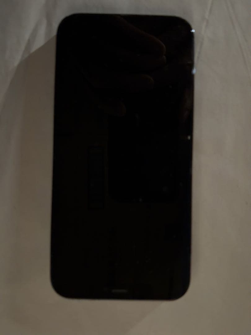 Apple iPhone 12 Pro 本体 256GB