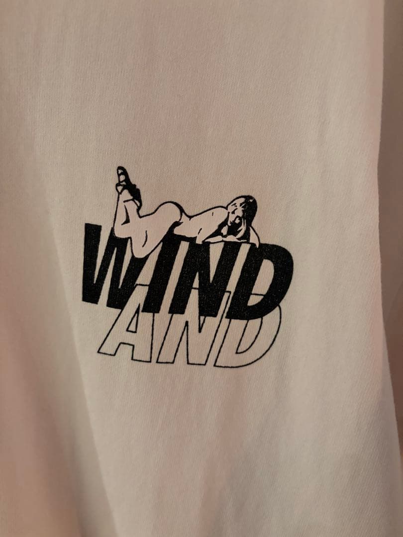 【希少XL】ヒステリックグラマー×ウィンダンシー Tシャツ バックプリント有り