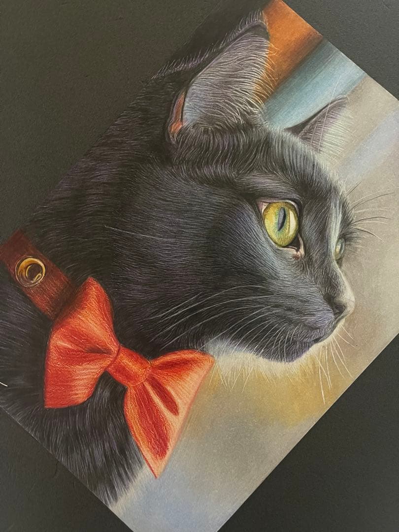 色鉛筆画.A4.黒猫.51