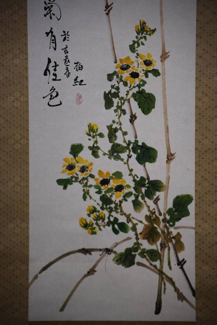 真作/柏紅/秋菊図/布袋屋掛軸HD-263