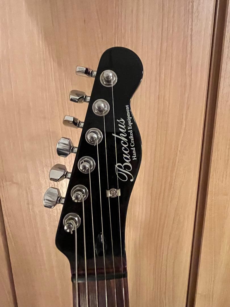 値下げ★Bacchusハードクラブテッドイクイップメント　エレキギター