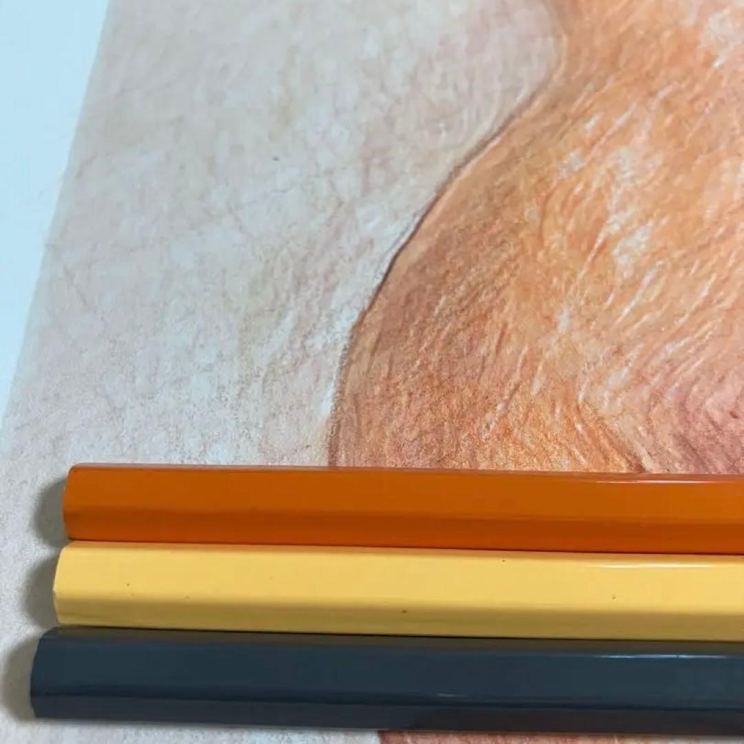 女優画16 額装品　額縁寸法32.7㎝×24.0㎝×1.5㎝　色鉛筆画　定款付