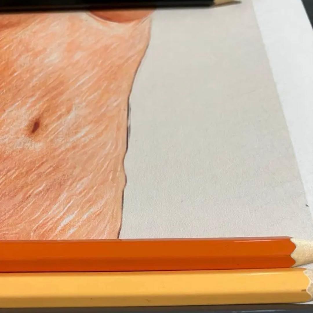 女優画16 額装品　額縁寸法32.7㎝×24.0㎝×1.5㎝　色鉛筆画　定款付