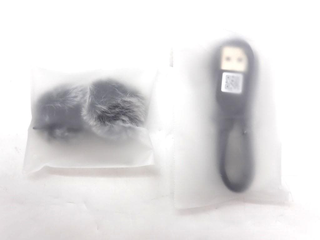 ビデオカメラ DJI mic mini