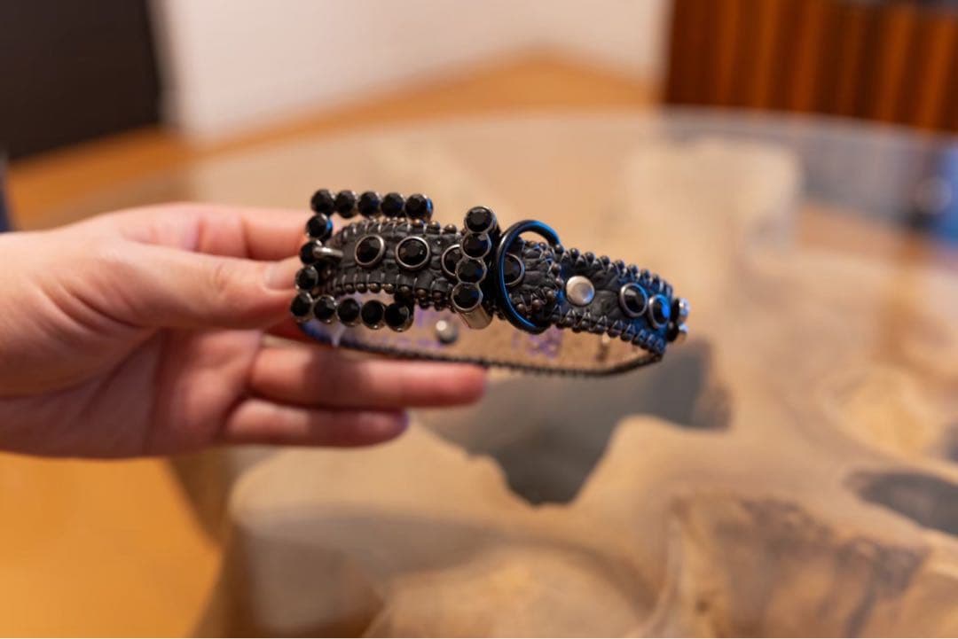 Supremeリード　犬　stussy