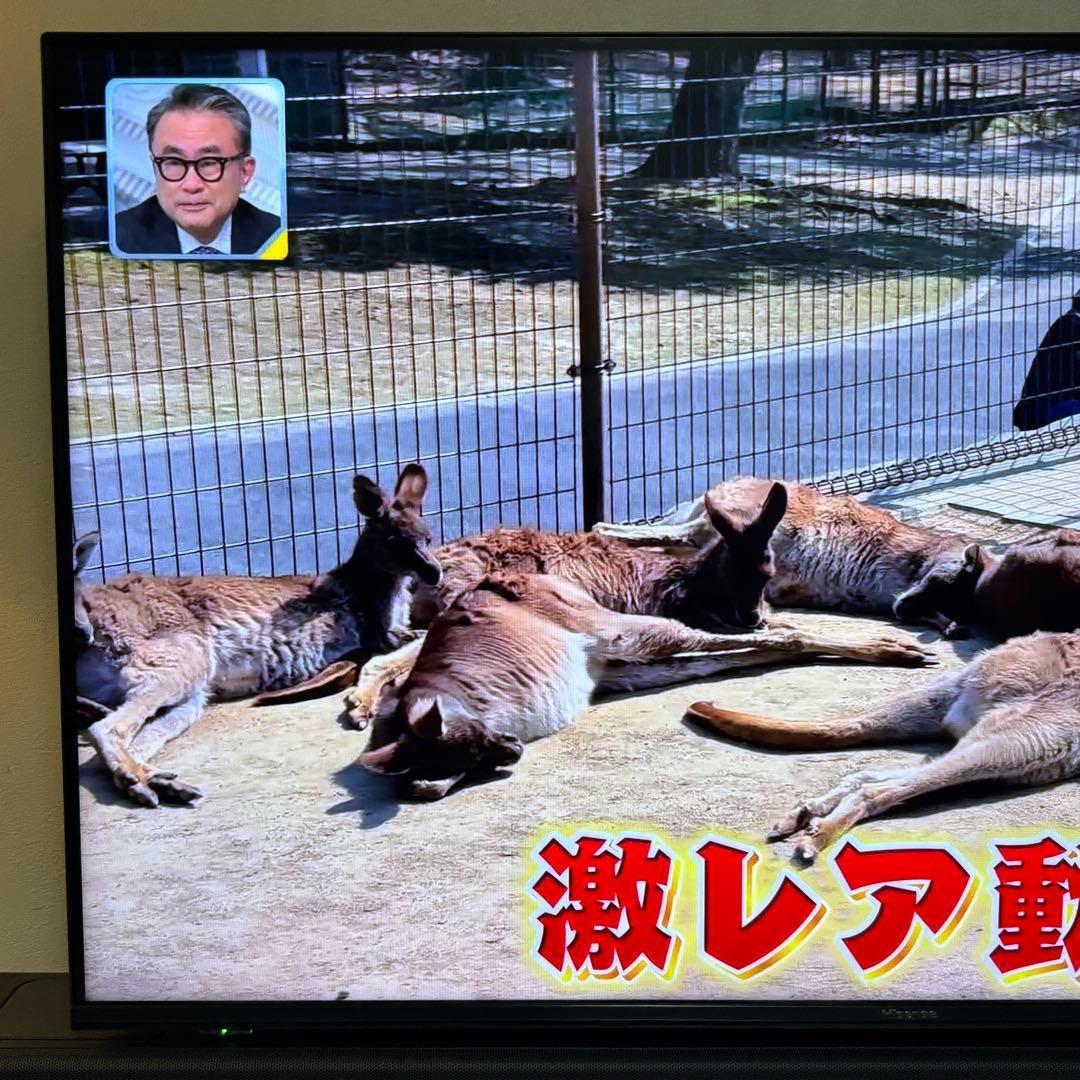 【美品】ハイセンス　４Ｋチューナー内蔵４３Ｖ型液晶テレビ　４３Ｅ６０００