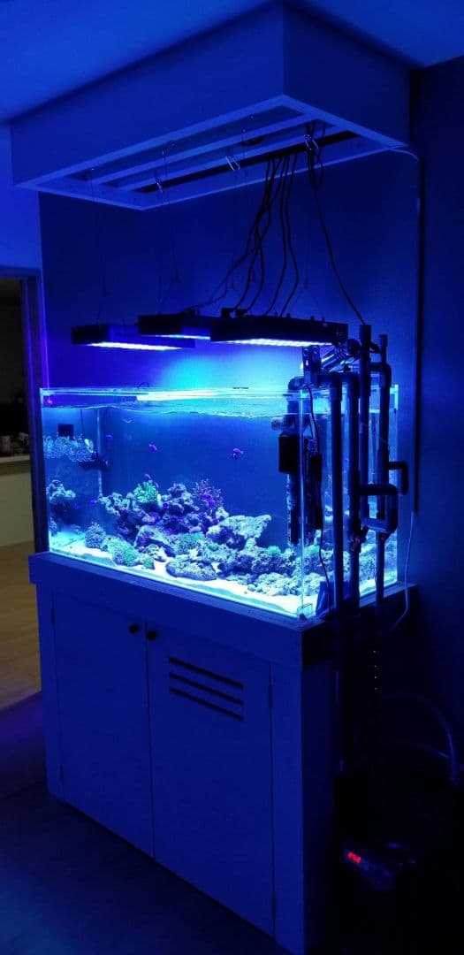 アクリル 水槽 120 × 45 × 60H 板厚10ミリ 白底 ハイタイプ